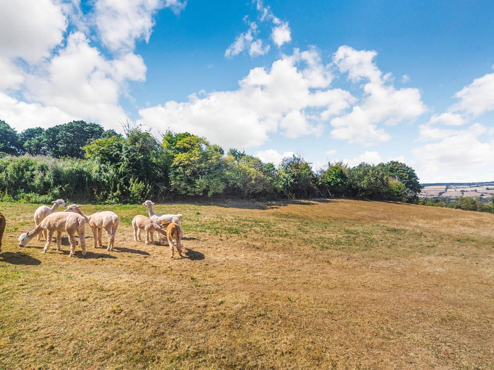 New Barn Reservoir Shaldon Luaran gambar